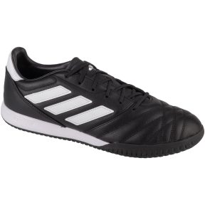 Παπούτσια Sport adidas adidas Copa Gloro IN